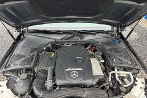 WhatsApp Image 2026-02-14 at 13.23.24 (25)